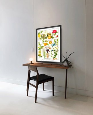 Wall art Botanical Print Plante Apéritive