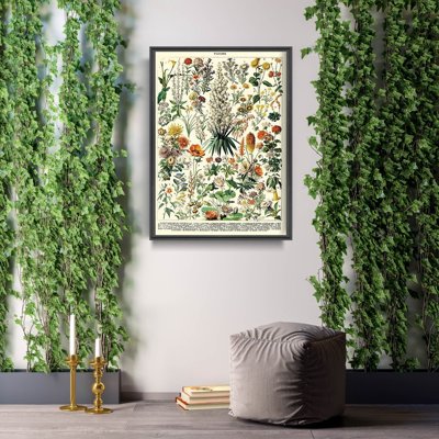 Vintage poster art Flower Print Adolphe Millot