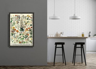 Vintage poster art Flower Print Adolphe Millot