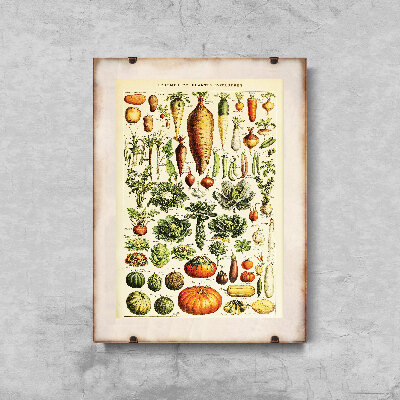 Wall art Adolphe Millot Legume Et Plante Potageres