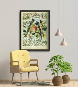 Poster Adolphe Millot Oiseaux Bird