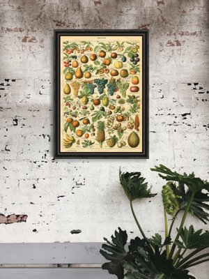 Vintage poster Fruit Print Adolphe Millot