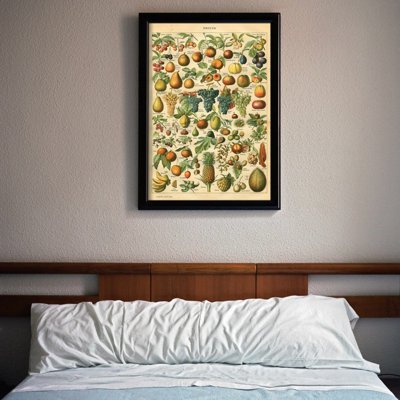 Vintage poster Fruit Print Adolphe Millot