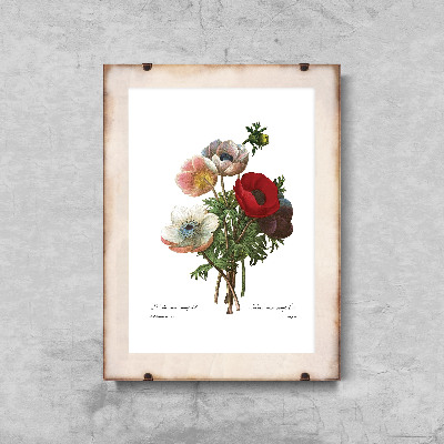 Wall art Flower Anomone Print