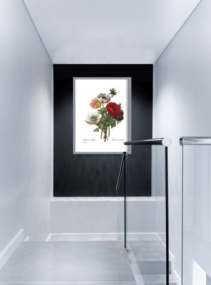 Wall art Flower Anomone Print