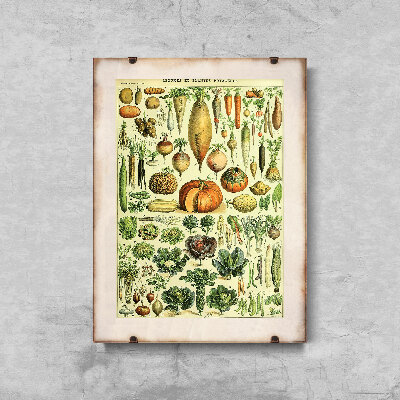 Poster Vegetable Print 1909 Adolphe Millot