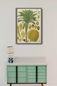 Vintage poster Botanical Print Coconut Palm Poster