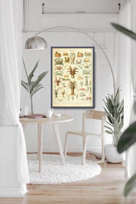 Vintage poster Science Print 1909 Adolphe Millot Crustaces