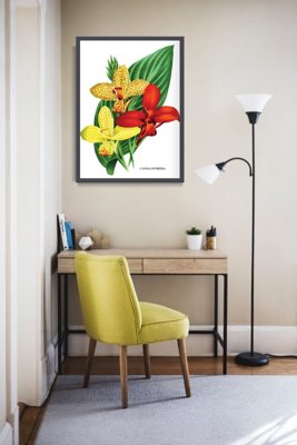 Wall art Flower Print 1957 Canna Lily