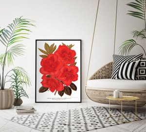 Canvas poster Flower Print 1957 Rhododendron Floral
