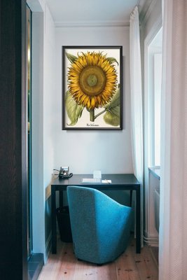 Vintage poster Sunflower Print Botanical