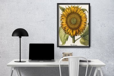 Vintage poster Sunflower Print Botanical