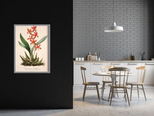 Wall art Flower Print Epidendrum Vitellinum