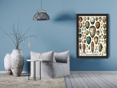 Canvas poster Adolphe Millot Ornithology Egg