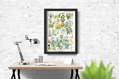 Vintage poster art Botanical Print Dangerous Plants Science 1912