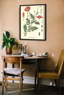 Vintage poster Botanical Print Aster