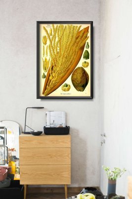 Wall art Botanical Print Palmae Cocoineae