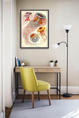 Wall art Antique Jellyfish Print Haeckel Ernst