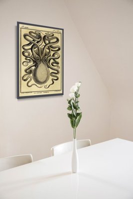 Canvas poster Vintage Octopus Print Haeckel Ernst