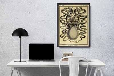 Canvas poster Vintage Octopus Print Haeckel Ernst