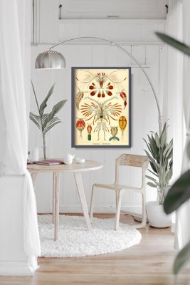 Canvas poster Marine Copeoda Ernst Haeckel