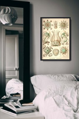 Poster Vintage Jellyfish Marine Narcomedusae Ernst Haeckel