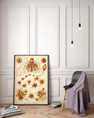 Vintage poster art Vintage Nautical Siphonophorae Ernst Haeckel