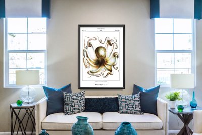 Wall art Octopus Vulgaris Cephalopodes