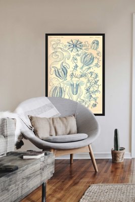 Vintage poster Vintage Sea Art Ctenohorae Ernst Haeckel