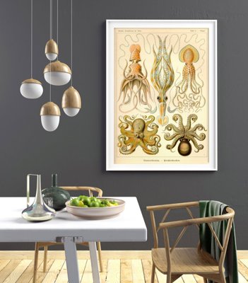 Vintage poster art Vitnage Octopus Gamochonia Ernst Haeckel