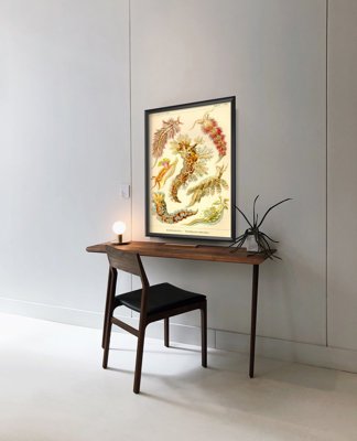 Canvas poster Vintage Mollusk Nudibranchia Ernst Haeckel