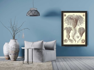 Vintage poster art Marine Animal Vintage Crinoidea Ernst Haeckel