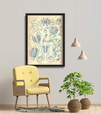 Canvas poster Sea Animal Vintage Ctnenophorae Ernst Haeckel