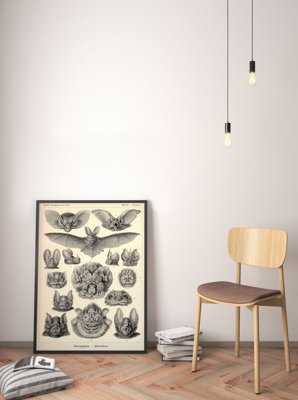 Vintage poster Bats Chiroptera Ernst Haeckel