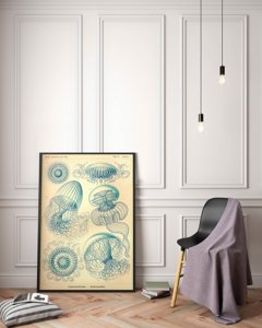 Poster Jellyfish Vintage Leptmedusae Ernst Haeckel