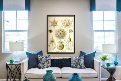 Vintage poster art Sea Animal Phaeodaria Ernst Haeckel