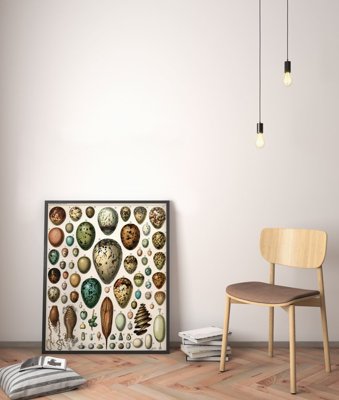Poster Vintage Eggs Print Adolphe Millot