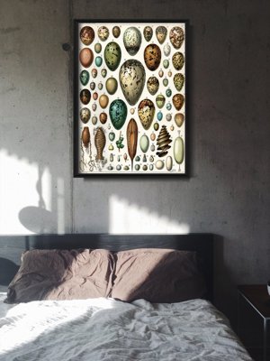 Poster Vintage Eggs Print Adolphe Millot