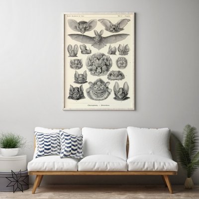 Vintage poster Vintage Bats Print
