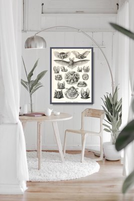 Vintage poster Vintage Bats Print