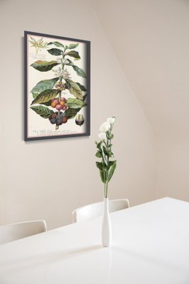 Vintage poster Coffee Arabica Kitchen Print