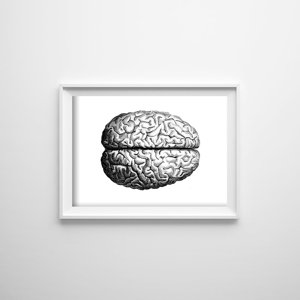 Canvas poster Anatomical Brain