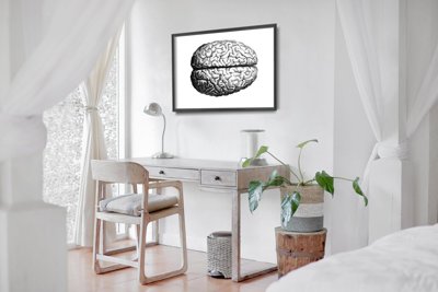 Canvas poster Anatomical Brain