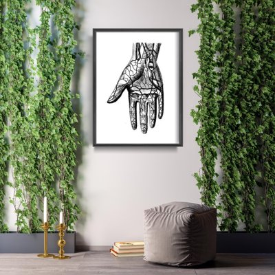 Wall art Anatomical Hands
