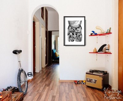 Canvas poster Organs Illustration