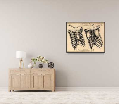 Vintage poster John Fotherby Rib Cages