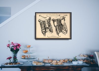 Vintage poster John Fotherby Rib Cages