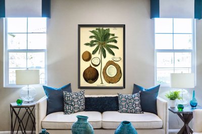 Canvas poster Botanical Print Coconut Palm