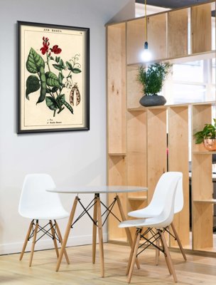Vintage poster art Pea Plant