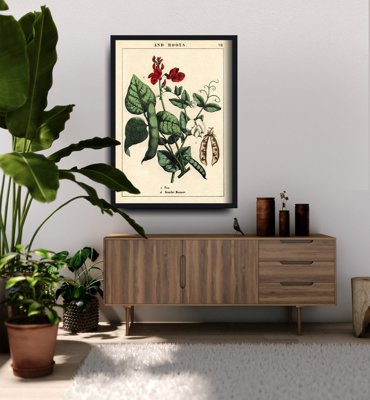 Vintage poster art Pea Plant